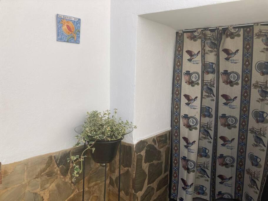 Casa Cueva Rural Estacion De Guadix Βίλα Εξωτερικό φωτογραφία